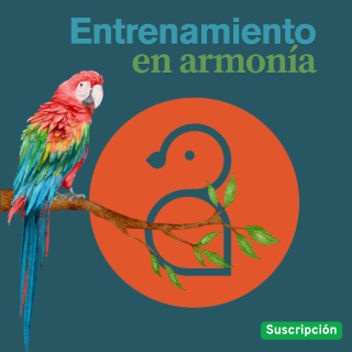 Entrenamiento en armonía (mentoría para tutores)