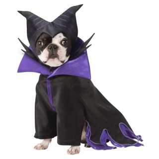 Disfraz de Maléfica para Perros y Gatos