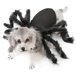 Disfraz de Araña para Perros y Gatos – Halloween
