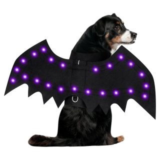 Disfraz de Murciélago Luminoso para Perros y Gatos – 20 Luces LED Moradas