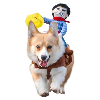 Disfraz de Vaquero para Perros – Jinete / Sombrero y Pañuelo