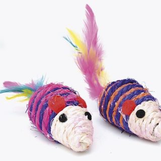 Raton Fique con Plumas (Unidad)