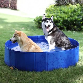 Piscina para Mascotas