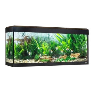 ACUARIO FLUVAL ROMA 240 NEGRO