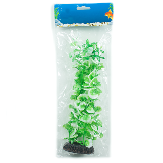 Planta 30Cms