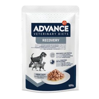 ADVANCE VETERINARY DIETS RECOVERY 100 GR