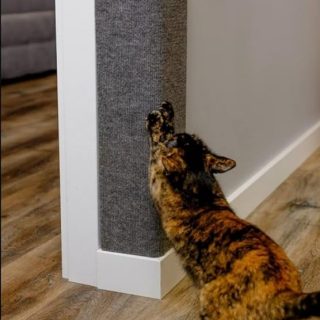 Tapete Rascador Horizontal para Gatos 60×38 Cm