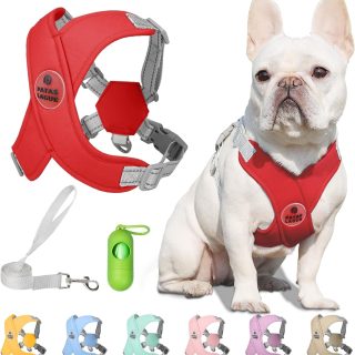 Arnés sin Tirones Reflectante para Mascotas + Correa y Bolsas de Excrementos