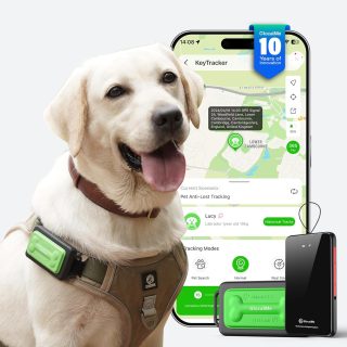 Rastreador GPS para Perros Ubicación para Seguimiento en Tiempo Real