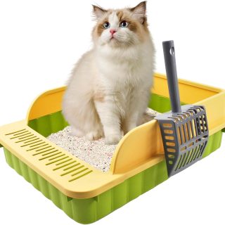 Arenero Abierto con Borde + Pala para Gatos 50x37x17 Cm
