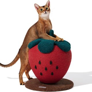 Rascador Forma Frutilla con Cuerda Sisal para Gatos 33x33x38 Cm