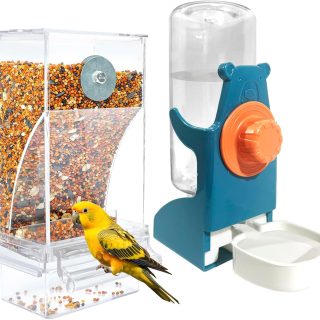 Comederos para Pájaros sin Desorden con Dispensador de Agua