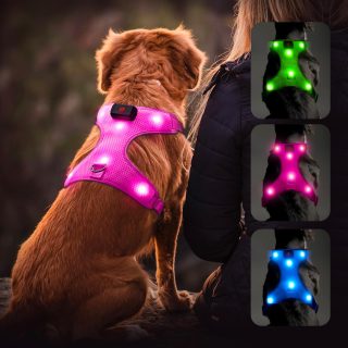 Arnés Reflectante Iluminado para Perros