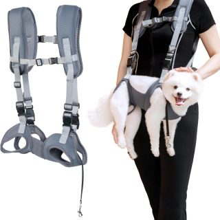 Mochila Transportadora Canguro para Mascotas 38x38x20 Cm