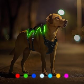 Arnés Ajustable para Perros sin Tirones 7 Luces LED que Cambian de Color