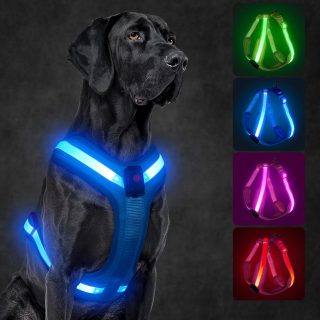 Arnés Reflectante para Perro con Luz Recargable USB