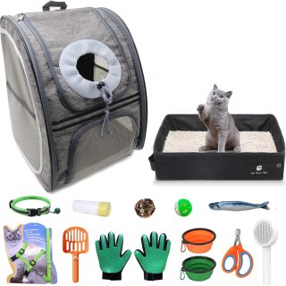 Kit de Cachorro para Gatos de 15 Piezas
