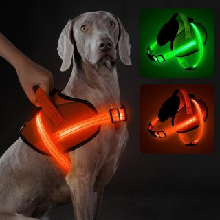 Arnés Reflectante sin Tirones con Luz Recargable USB