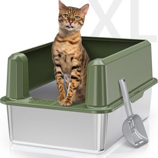 Arenero Abierto con Bandeja de Acero Inoxidable + Pala 59x39x30 Cm