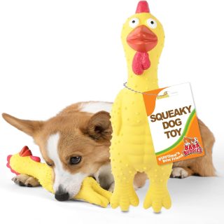 Juguete Pollo Chirriantes de Látex 100% Natural para Perros 27x7x7 Cm