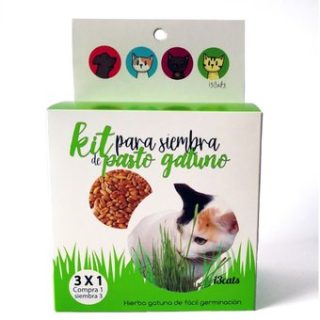 Kit De Siembra De Pasto Gatuno i3cats