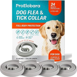4 Collares de Prevención de Garrapatas de Pulgas para Perros ProElobara