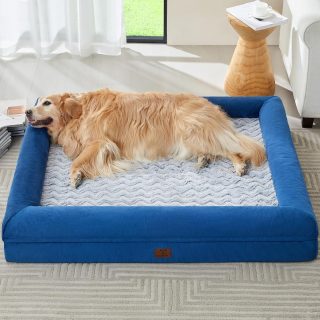 Cama Ortopédica Impermeable con Funda Extraíble Extra Grande para Mascotas