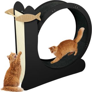 Rueda de Ejercicios para Gatos + Tablero para Rascar 102x35x105 Cm