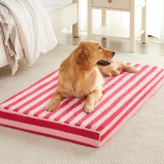 Cama Impermeable Grande con Funda Extraíble para Mascotas