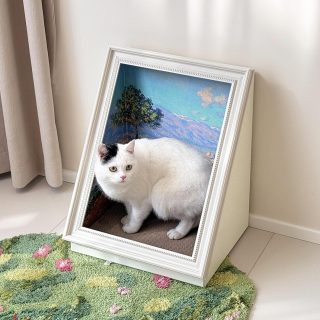 Marco de Pintura al Óleo con Rascador para Gatos 50x40x32 Cm