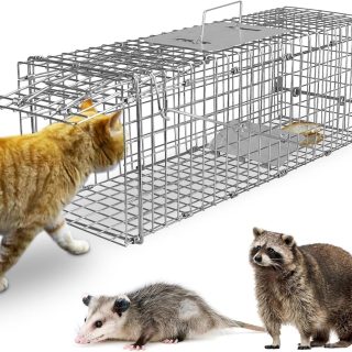 Trampa de Jaula para Perros y Gatos Pequeños 59x18x19 Cm