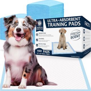 Pañales Sabanillas Absorbentes Aroma Fresco para Mascotas 55×55 Cm de 150 Unidad