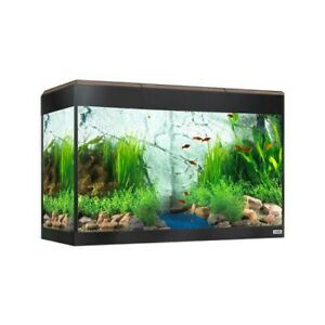 ACUARIO FLUVAL ROMA 125 NOGAL