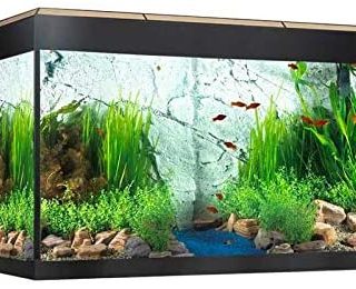 ACUARIO FLUVAL ROMA 125 ROBLE