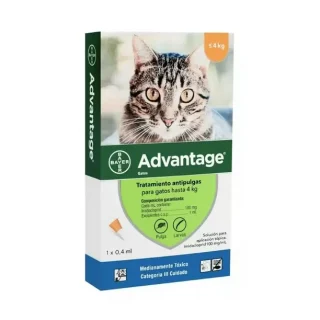 Advantage Gatos (Hasta 4 kg) | Tratamiento Antipulgas Tópico con Imidacloprid