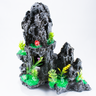 Arrecife Grande Sin Buzo