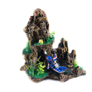 Arrecife grande con buzo