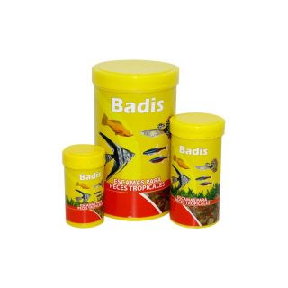 BADIS ESCAMAS PARA PECES TROPICALES