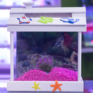 Bettera Madera Pequeña Full Kit