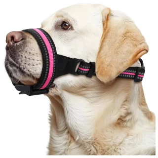 Bozal Antimordidas para Perros | Ideal para Entrenamiento, Aseo y Visitas al Veterinario