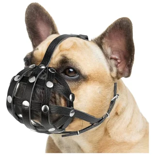 Bozal Corto de Cuero para Perros de Hocico Chato | Bozal Antimordidas y Aseo para Bulldog y Pug