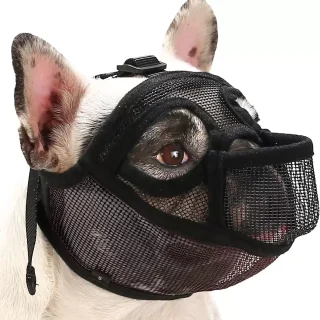 Bozal de Malla Transpirable para Perros de Hocico Chato | Bozal Antiladridos y Antimordidas
