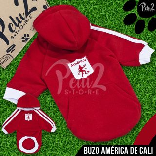 BUZO AMERICA DE CALI