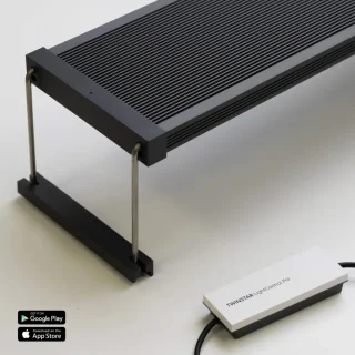 TWINSTAR LIGHT V  1200S