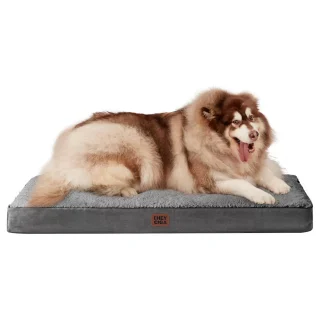 Cama Colchón Ortopédico GRANDE para Perros | 10 cm Espesor, Funda Lavable y Base Antideslizante