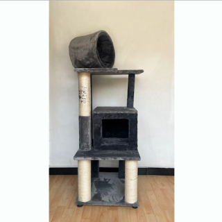 Gimnasio Shadow (18b)