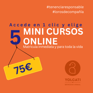 5 MINI CURSOS ONLINE (TENENCIA RESPONSABLE LOROS)