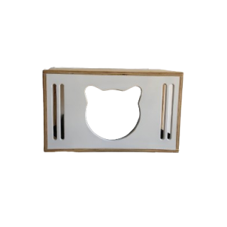 Casa pintada en Triplex*