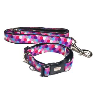 Collar y Correa Hexágonos fucsias para perros Medianos Soko