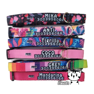 Collar de identificación marcado para Gatos